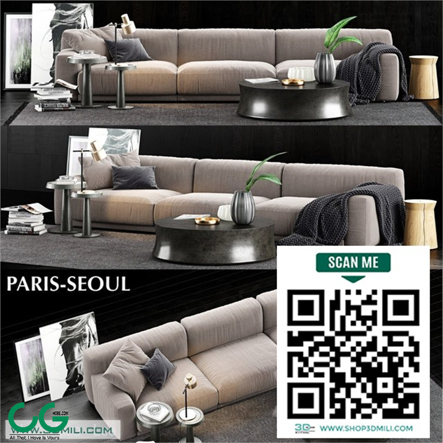 Poliform Paris Seoul Sofa 1